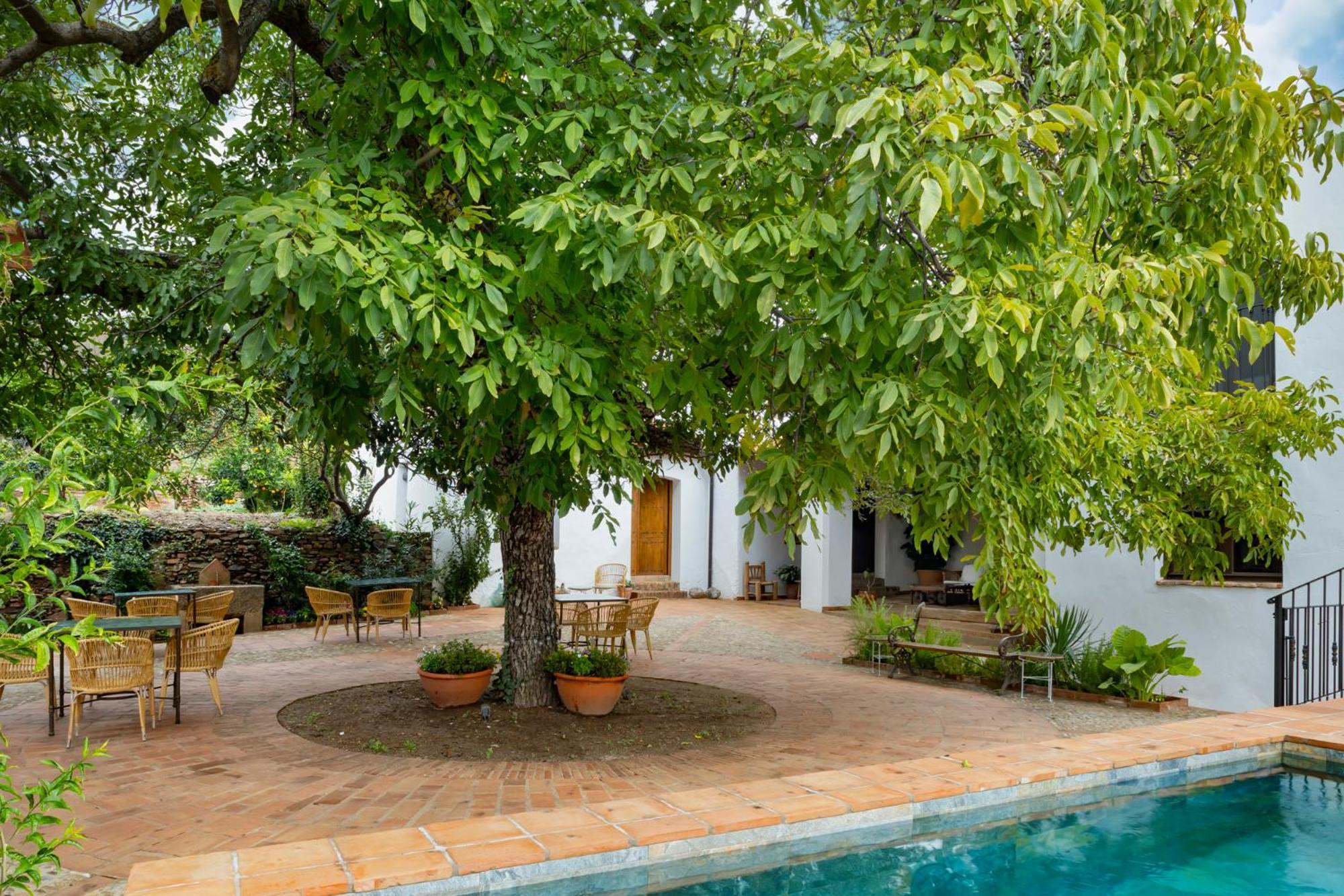Apartamentos Turisticos El Patio Del Nogal 瓜达卢佩 外观 照片